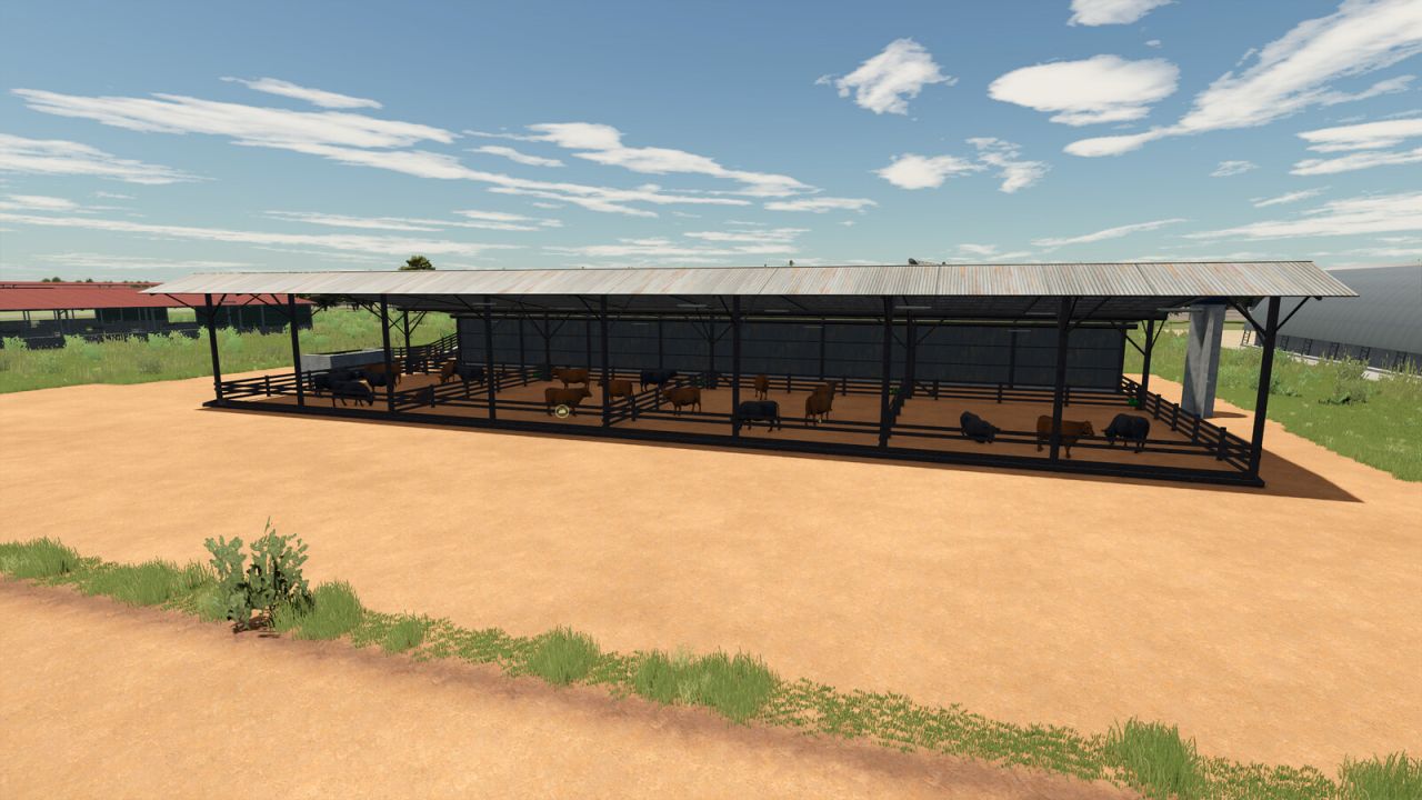 Vacas de confinamento