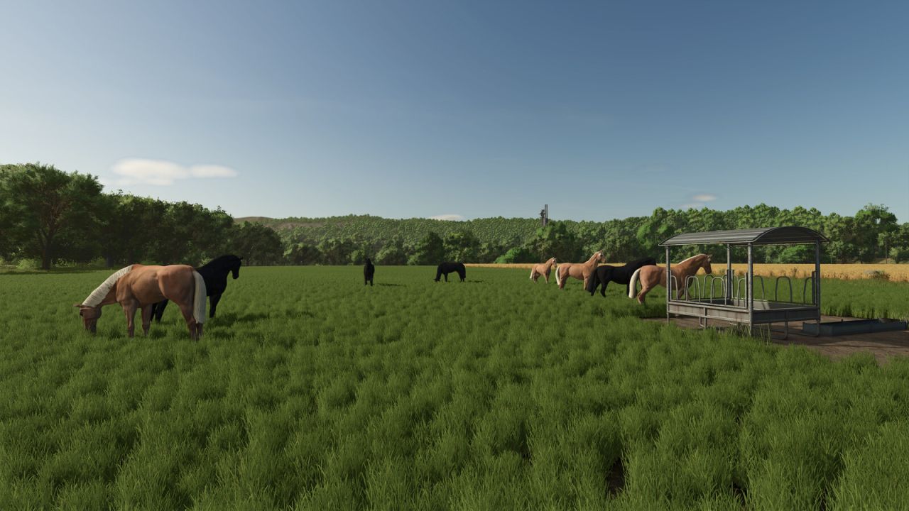 Fenceless Pastures